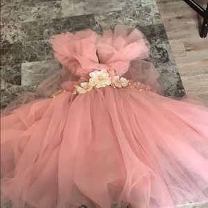 12 month swan bday picture dress Kryssi kouture